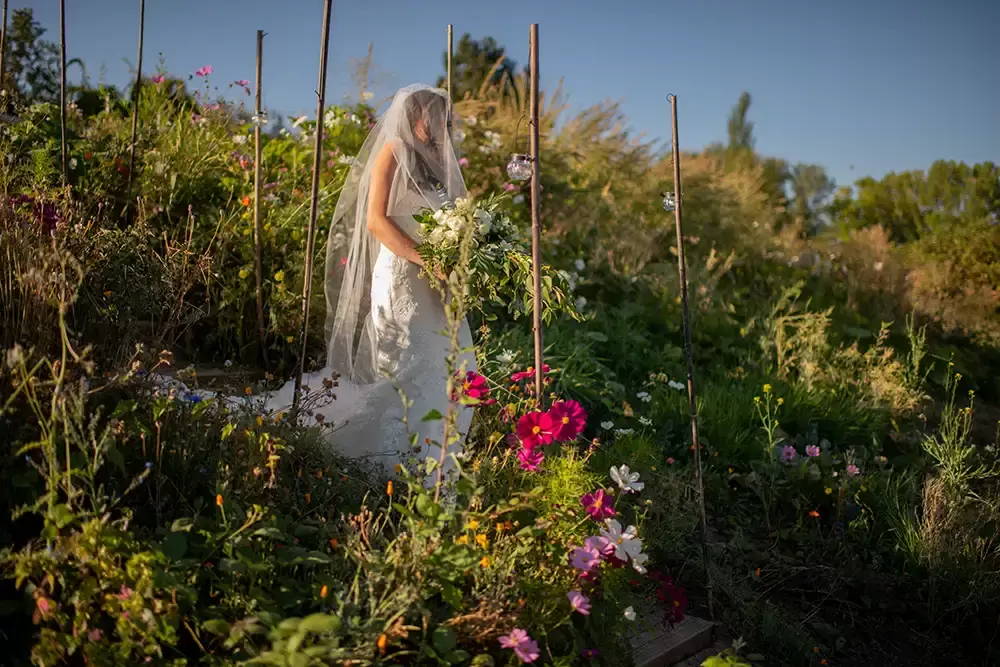 the bride enters the wedding through a flower garden at A ​Sauvie Island Wedding from Photographer ​Robert Knapp 