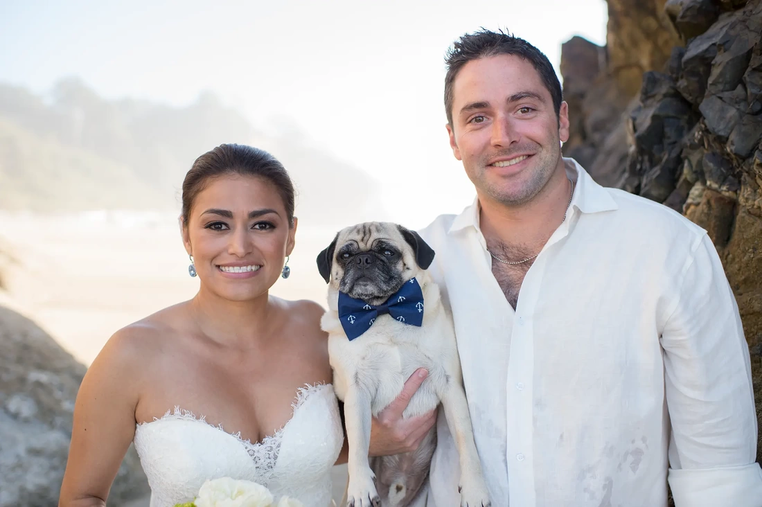 Wedding on the Beach Cannon Beach Wedding Photographer Robert Knapp Bride, groom, dog with bow tie