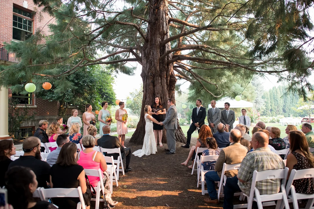 McMenamins Grand Lodge Weddings can have ceremonies centered under this giant redwood just outside the lodge. Bride and groom hold hands as the officiant speaks during the ceremony
