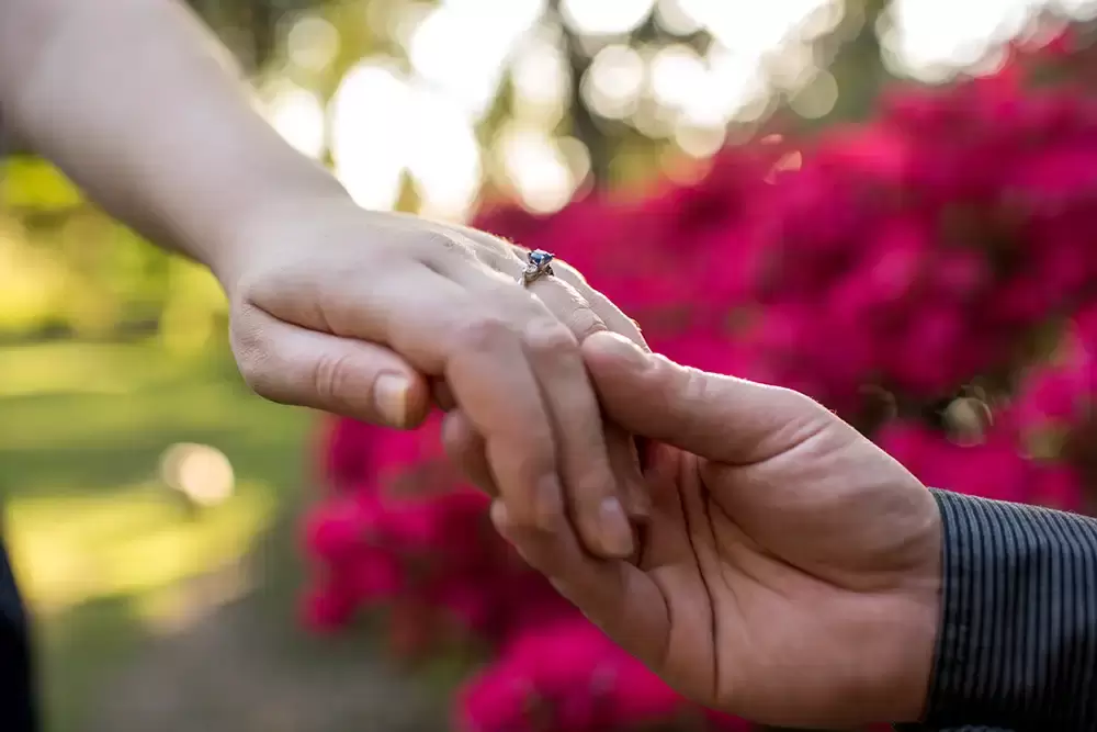 a couple hold hands int the sunset light to show off the engagement ring in a rose garden Modern Art Photograph 
Engagement Photography Portland Oregon