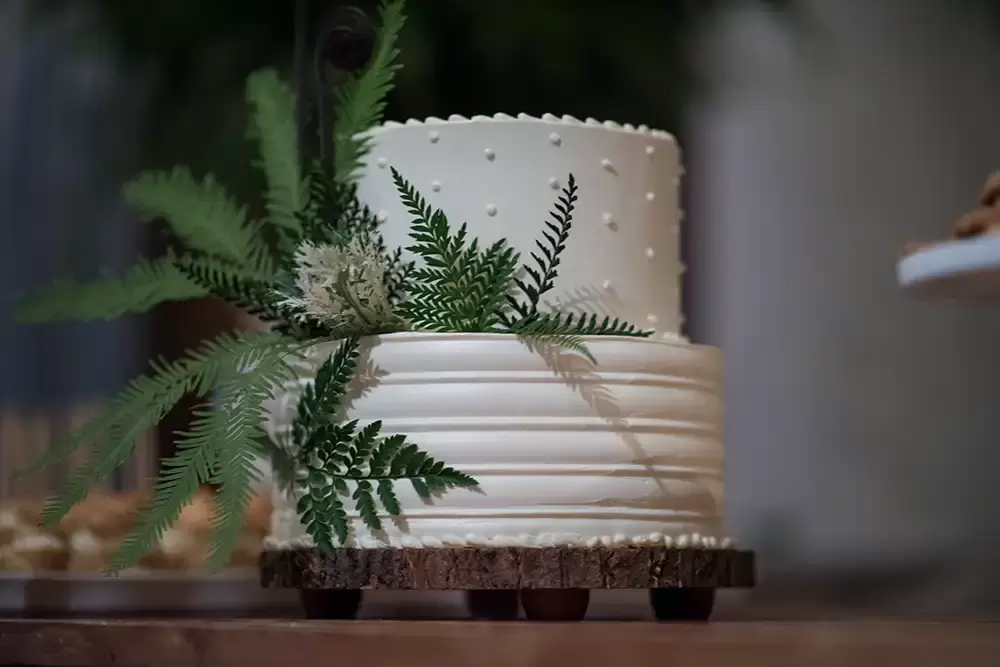 Oregon Wedding Photographers at Modern Art Photograph on location at opal 28 The wedding cake is decorated with ferns. The wedding cake is beautiful.