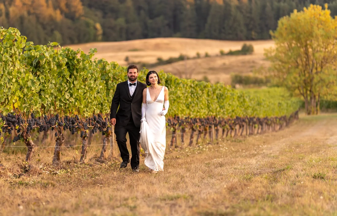 Bride and Groom walk through a vineyard at sunset. 