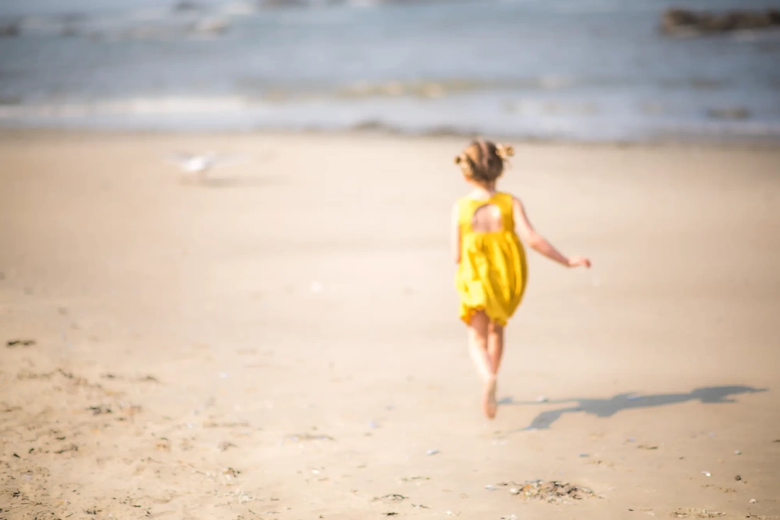  A little girl runs from the camera toward the ocean and a seagull everything is out of focus. It looks like a paining Family Pictures Beach Theme with Portland Family Photographer Robert Knapp