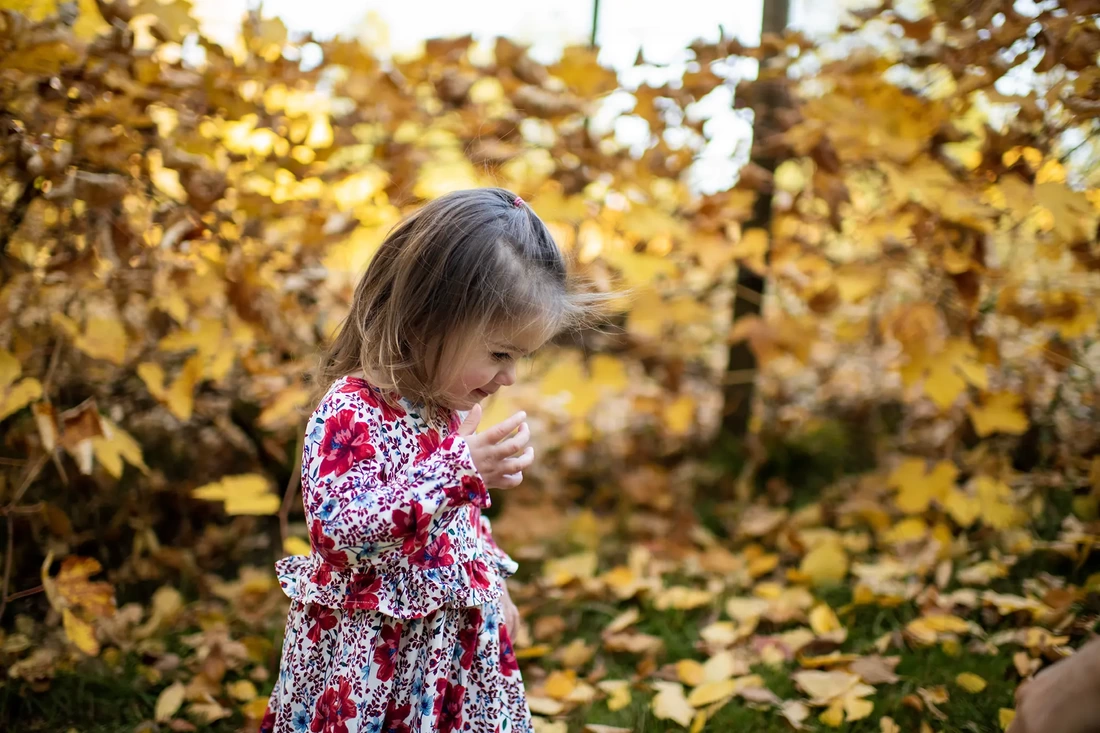 Portland Oregon Family Photographer Robert Knapp photographs a little girl walking carefully through the autumn foliage. 