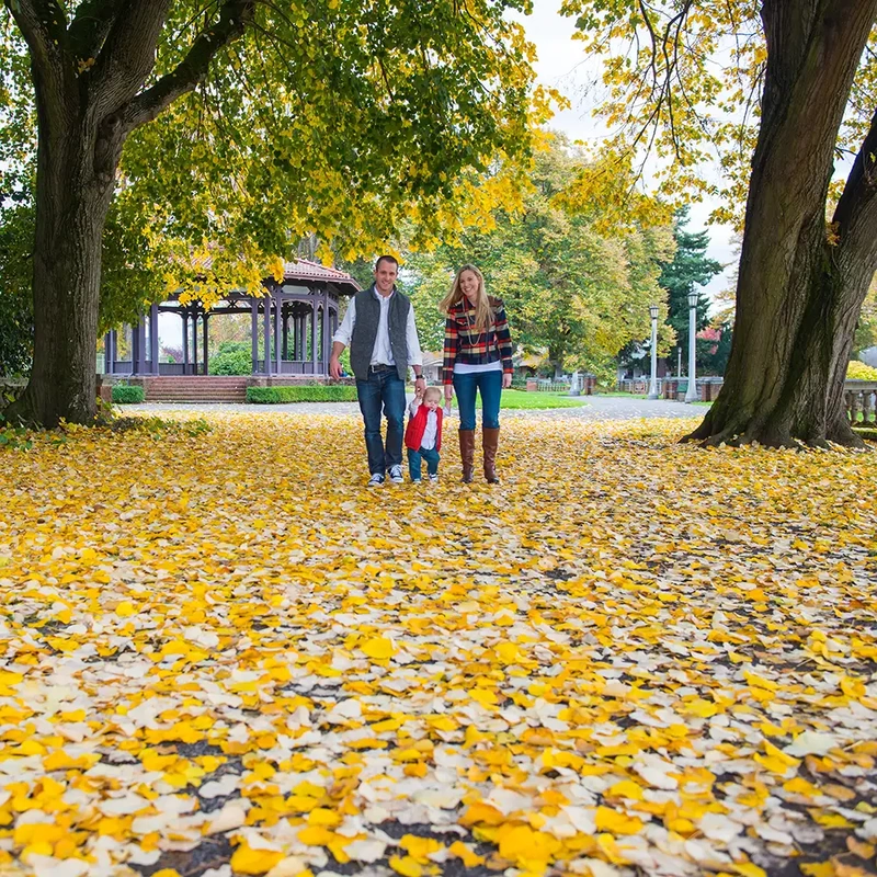 A family walk through a park holding hands between two large trees. Bright yellow leafs cover the path Family Photography by Robert Knapp in Portland City Parks Portland Family Photographers
on Location 
City Parks