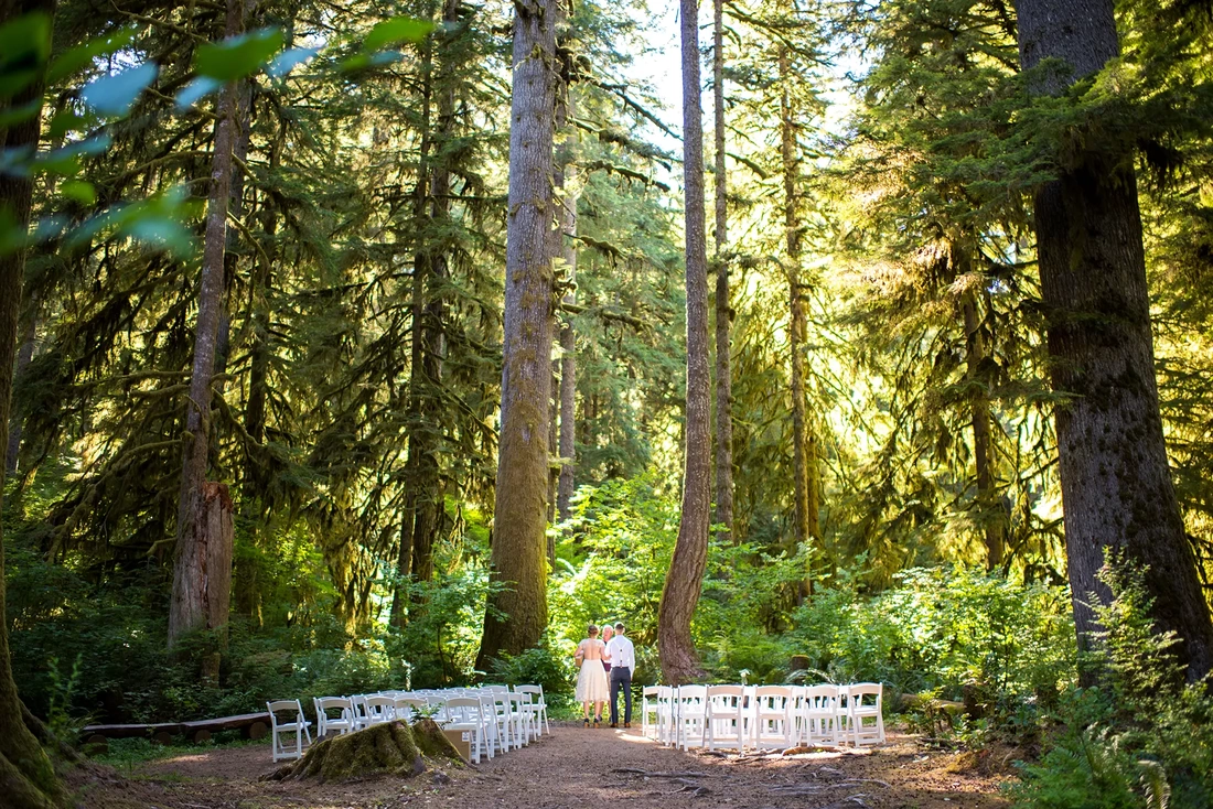 Silver Falls Weddings with Modern Art Photograph a bride and groom stand in the forest preparing for their ceremony. All the chairs are empty. 