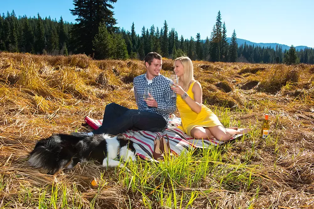 in the mountains in a field a couple sits on a picnic blanket drinking wine Unforgettable Moment - Mountain Engagement Photos 
with
​ Photojournalist Photographer Robert Knapp