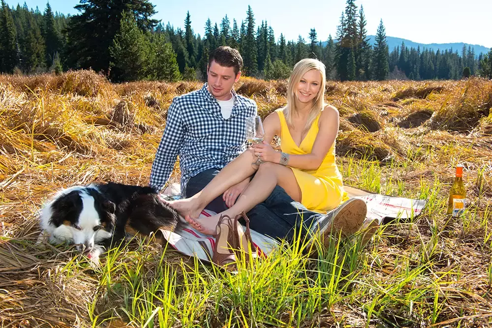 mountain engagement photos of a couple and their dog Unforgettable Moment - Mountain Engagement Photos 
with
​ Photojournalist Photographer Robert Knapp