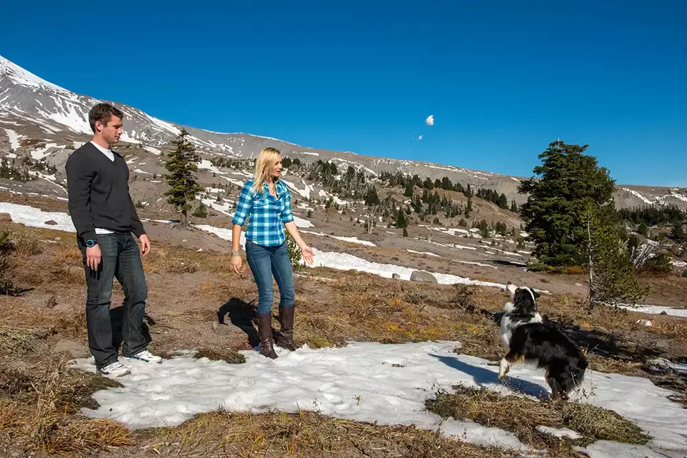 mountain engagement photos, throwing a snowball for the dog to catch. Unforgettable Moment - Mountain Engagement Photos 
with
​ Photojournalist Photographer Robert Knapp