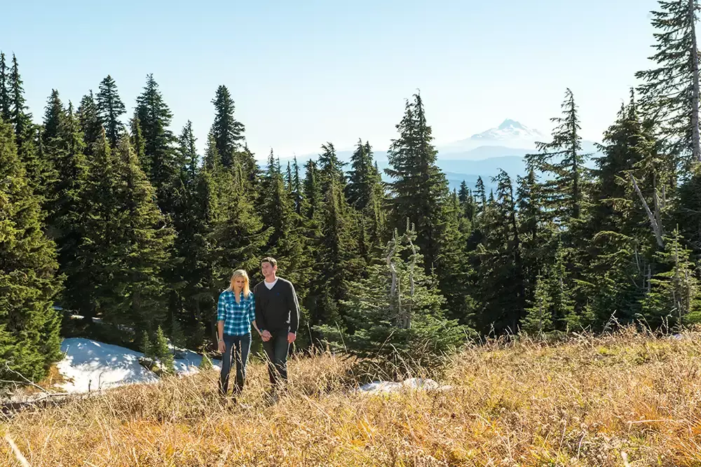 mountain engagement photos, a couple walks through a grassy clearing. Snow is in the shadows, Very tall moutains are off in the distance. Trees are around the clearing Unforgettable Moment - Mountain Engagement Photos 
with
​ Photojournalist Photographer Robert Knapp