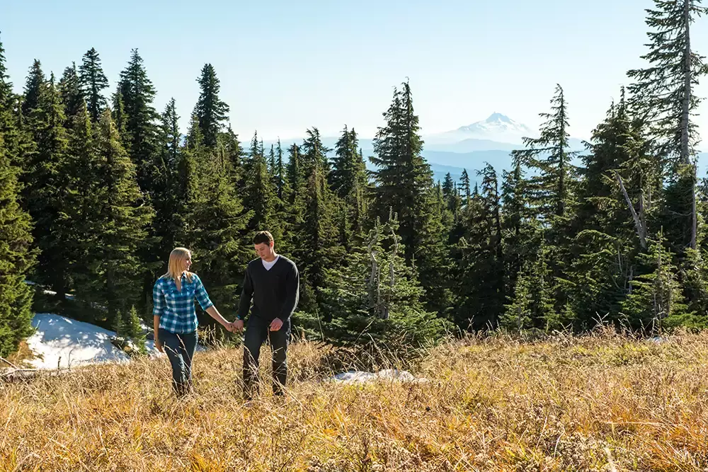 mountain engagement photos, a couple holds hands and walks together through a clearing. Tall mountain is off in the distance dominating the horizon. Unforgettable Moment - Mountain Engagement Photos 
with
​ Photojournalist Photographer Robert Knapp