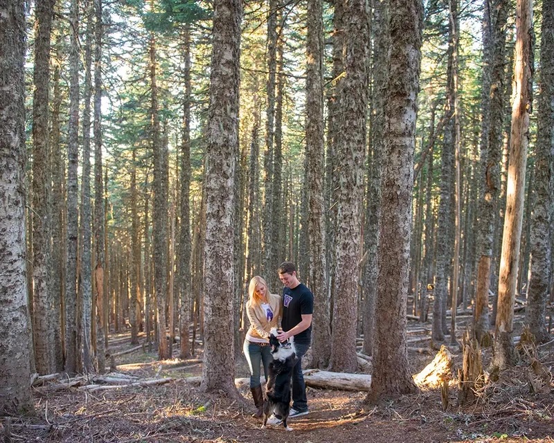 mountain engagement photos of a couple with their dog Unforgettable Moment - Mountain Engagement Photos 
with
​ Photojournalist Photographer Robert Knapp