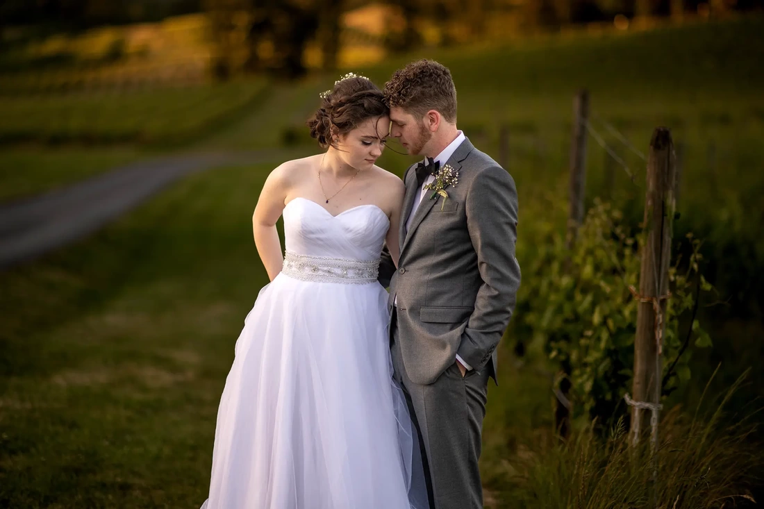 ​Vineyard Wedding Oregon where a bride and groom stand among the grape vines at sunset