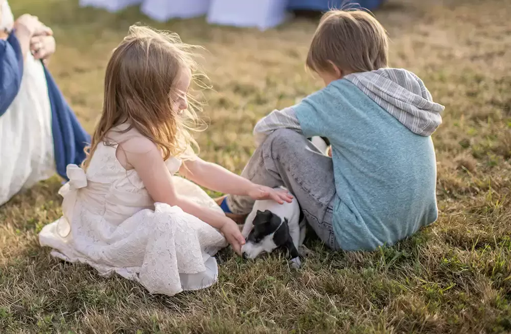 children play with puppies Wedding Photographers Near Me