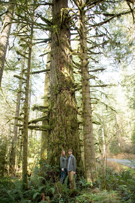 ​Winter Waterfall Engagement Photos from Photographer Robert Knapp a couple stands at the base of a massive old growth tree. They look to the camera and smile 
